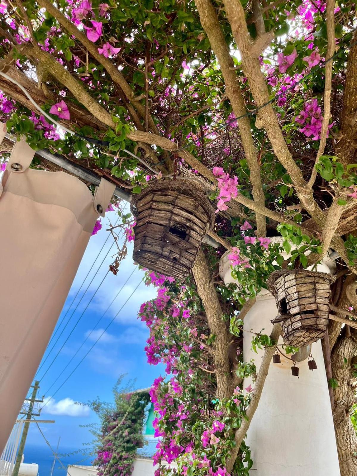 Alle Stelle B&B อนากาปรี ภายนอก รูปภาพ
