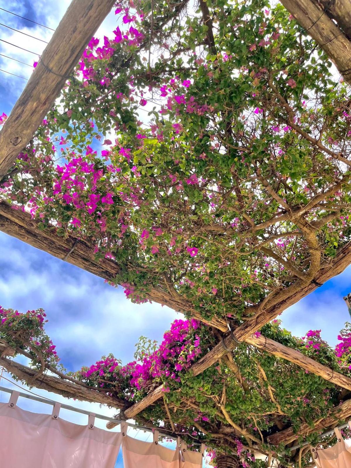 Alle Stelle B&B อนากาปรี ภายนอก รูปภาพ